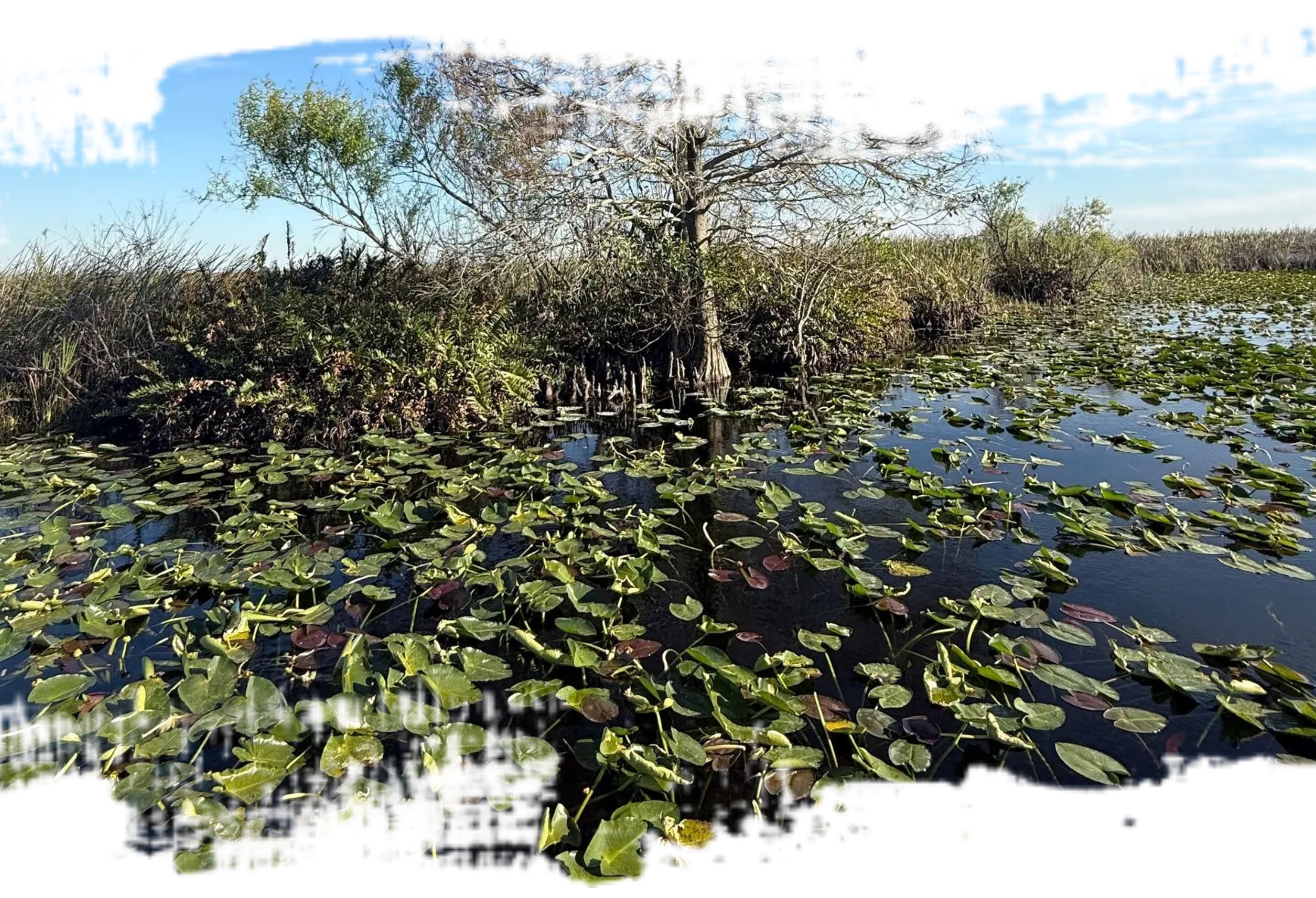 featured activity image